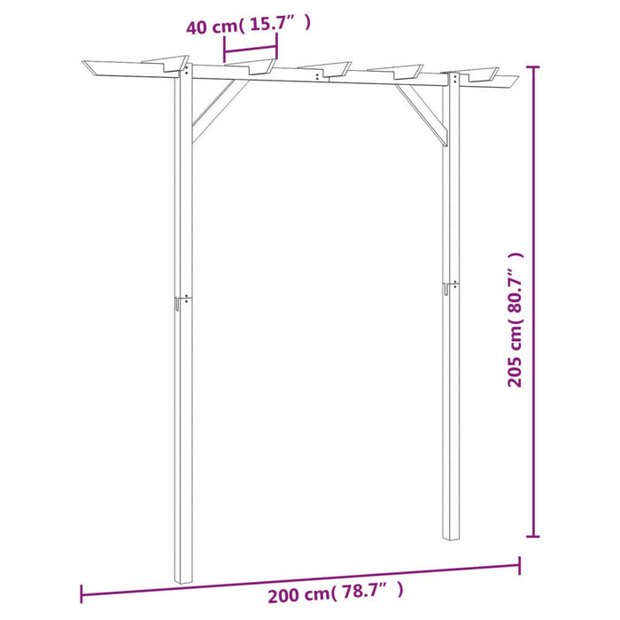 Pergola 200X40X205 Cm Hout