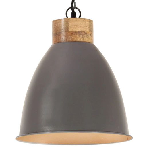 Hanglamp Industrieel E27 Ijzer En Massief Hout