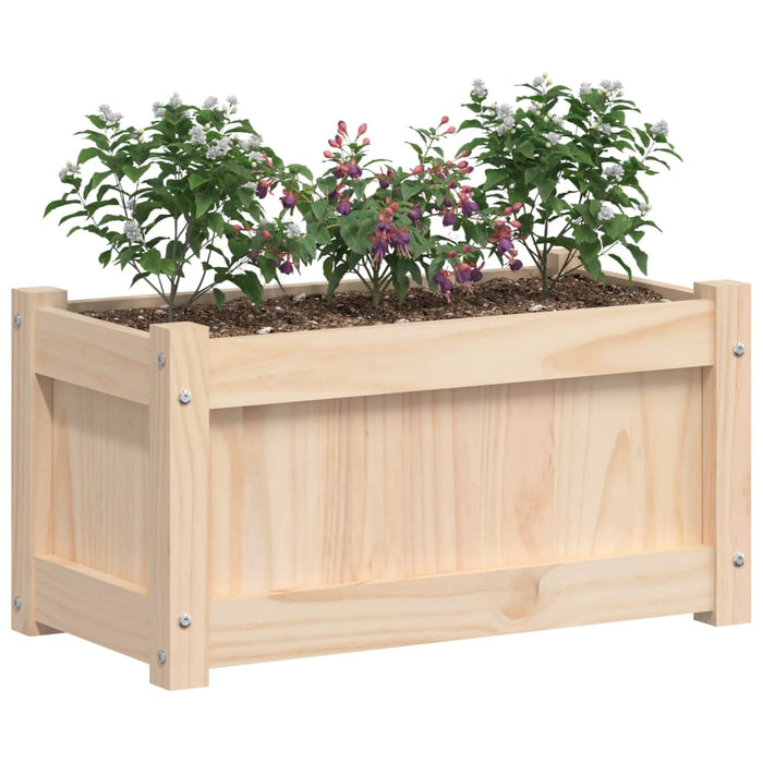 Plantenbak 60X31X31 Cm Massief Grenenhout