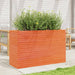 Plantenbak 110X40X68,5 Cm Massief Grenenhout Wasbruin