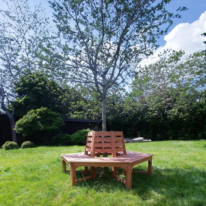 Banc d'arbre avec dossier en bois dur